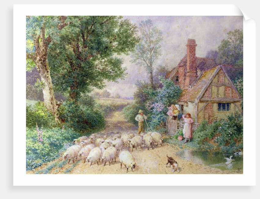 Shepherd and his flock passing a country cottage by Myles Birket Foster