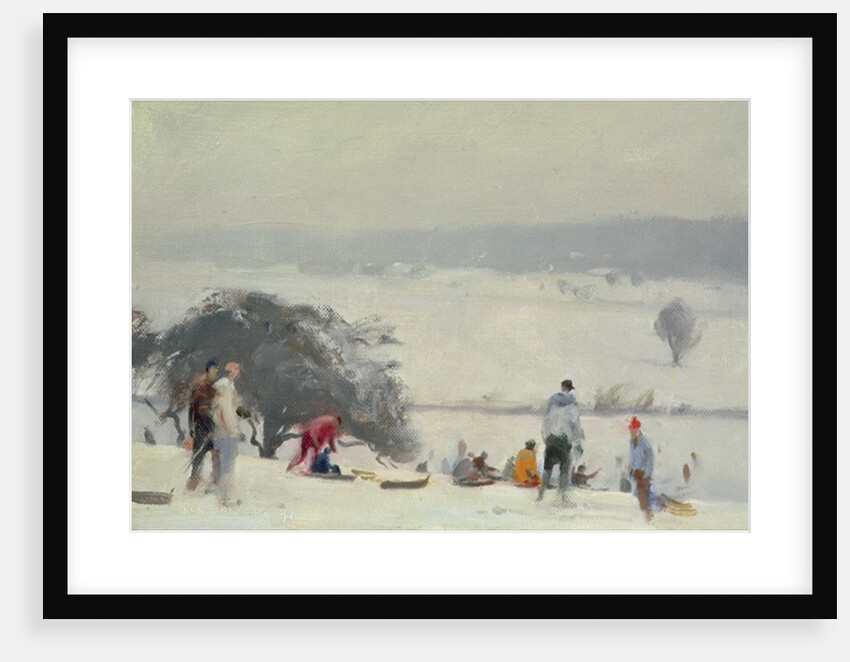 Tobogganing, The Meads, Hertford by Trevor Chamberlain