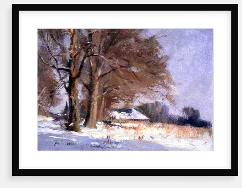 Limes in the Snow by Trevor Chamberlain