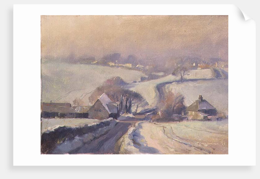 Frosty fields, Aston, 1991 by Trevor Chamberlain