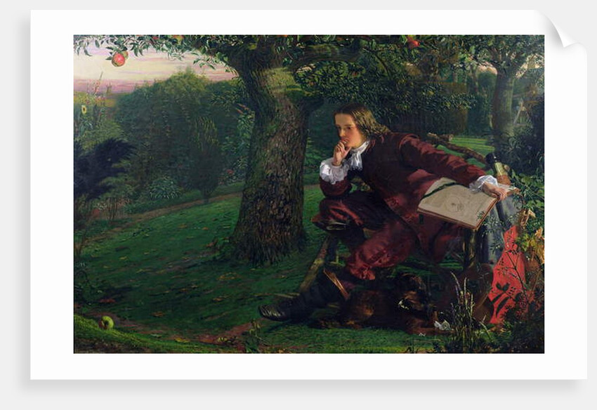 Master Isaac Newton, 1905 by Robert Hannah