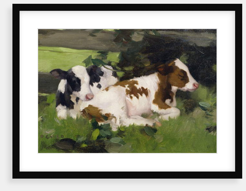 Ayrshire Calves, c.1890 by David Gauld