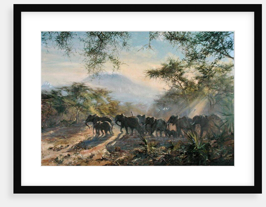 Elephant, Kilimanjaro, 1995 by Tim Scott Bolton