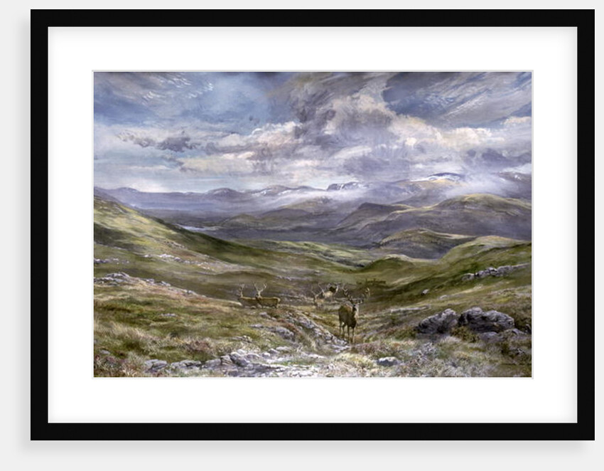 Kinrara, Aviemore, Scotland, 1988 by Tim Scott Bolton