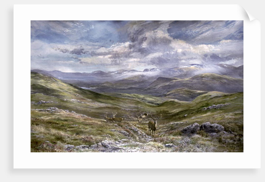 Kinrara, Aviemore, Scotland, 1988 by Tim Scott Bolton