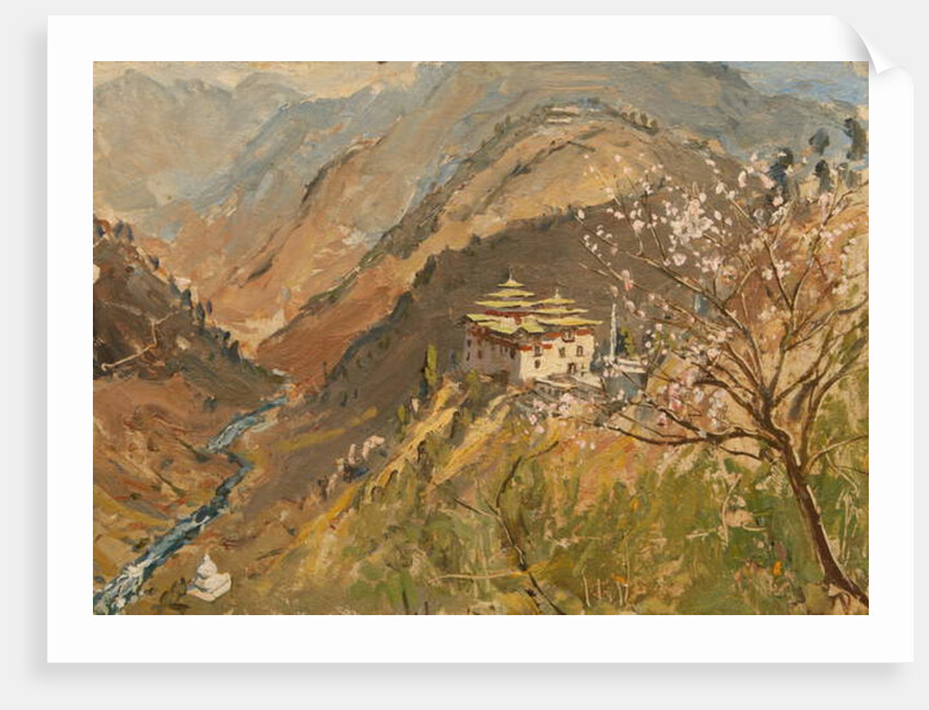 Tashigang Dzong by Tim Scott Bolton