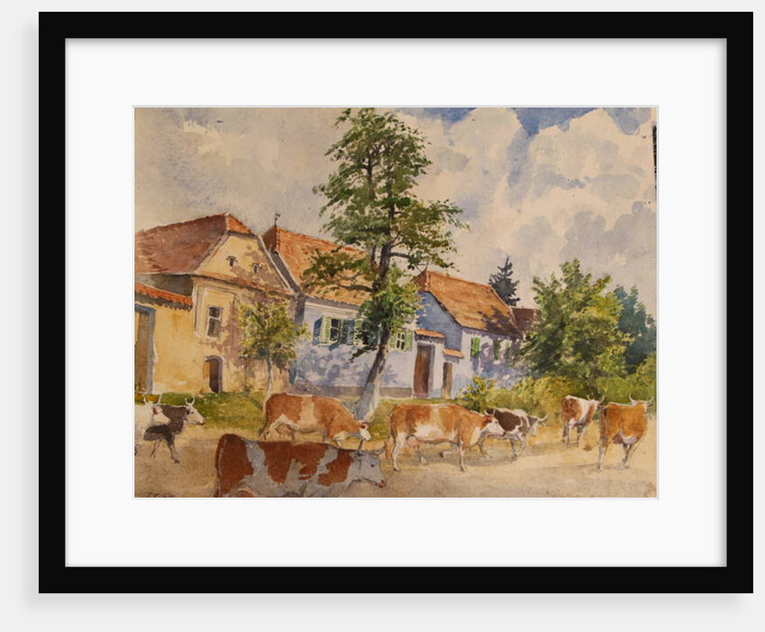 Viscri House Cows, 2015 by Tim Scott Bolton