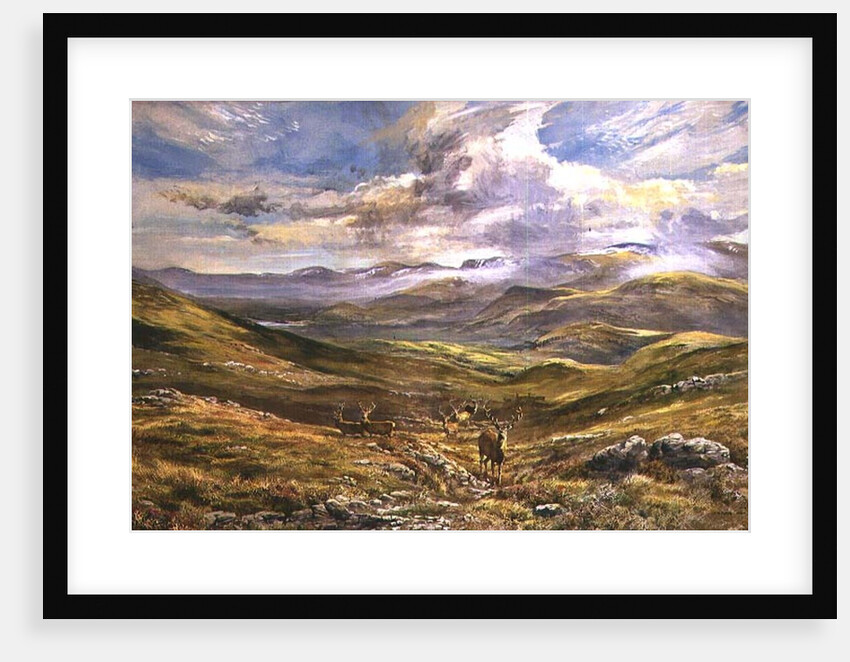 Cairngorms from Kinrara, 1988 by Tim Scott Bolton