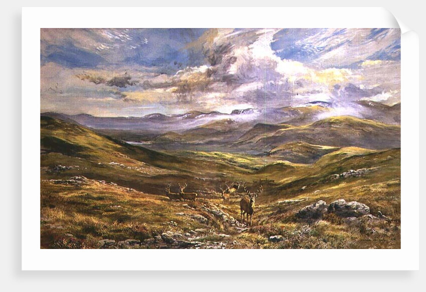 Cairngorms from Kinrara, 1988 by Tim Scott Bolton