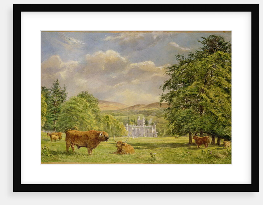 Bulls at Balmoral, 1988 by Tim Scott Bolton