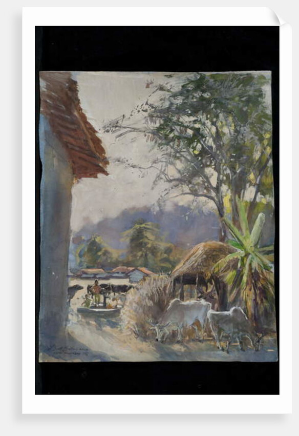 Kawardha Village with Cows, 2013 by Tim Scott Bolton