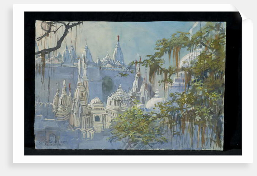 Paliatana, The Jain Temples, 2009 by Tim Scott Bolton