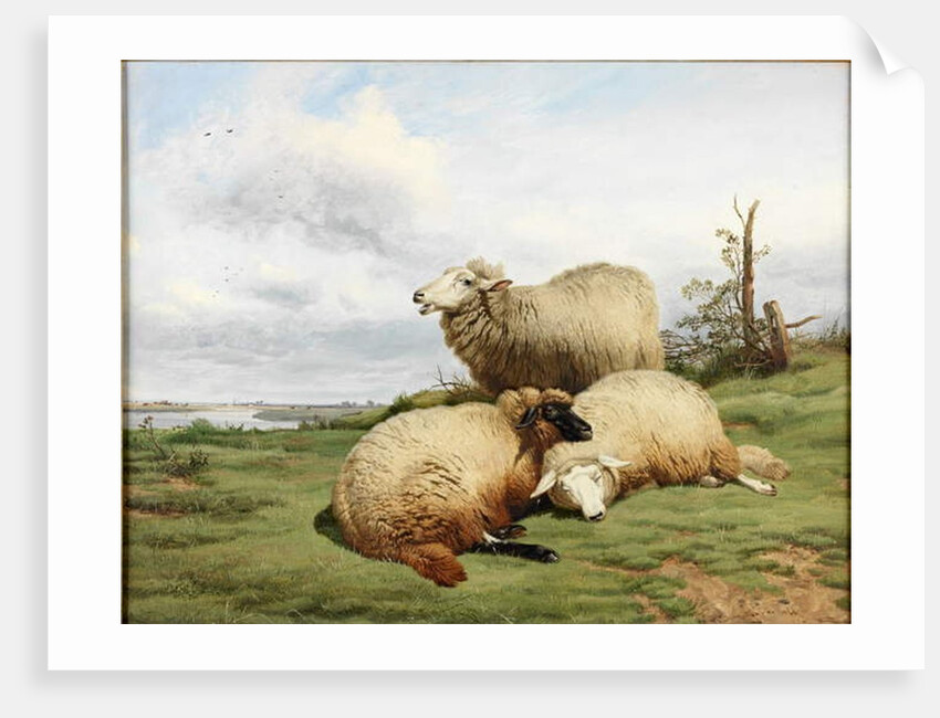 Midday Repose by Thomas Sidney Cooper