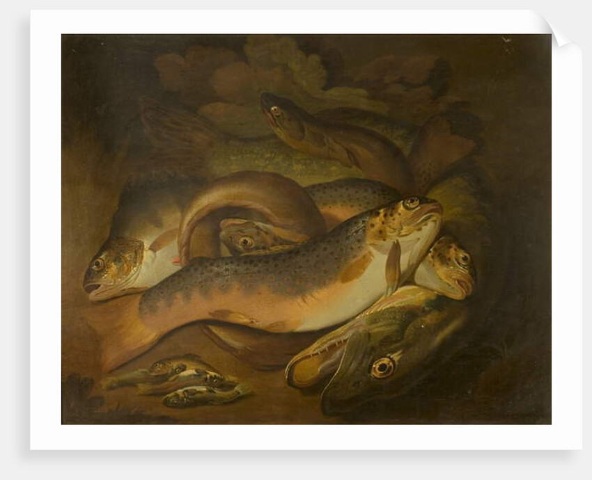 Fishes by Moses Haughton