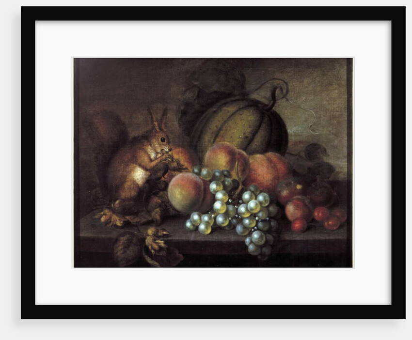 Study of Fruit with Squirrel by George Gray