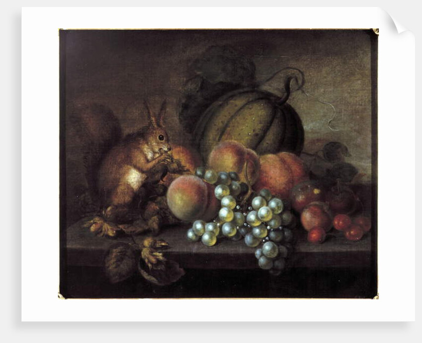 Study of Fruit with Squirrel by George Gray