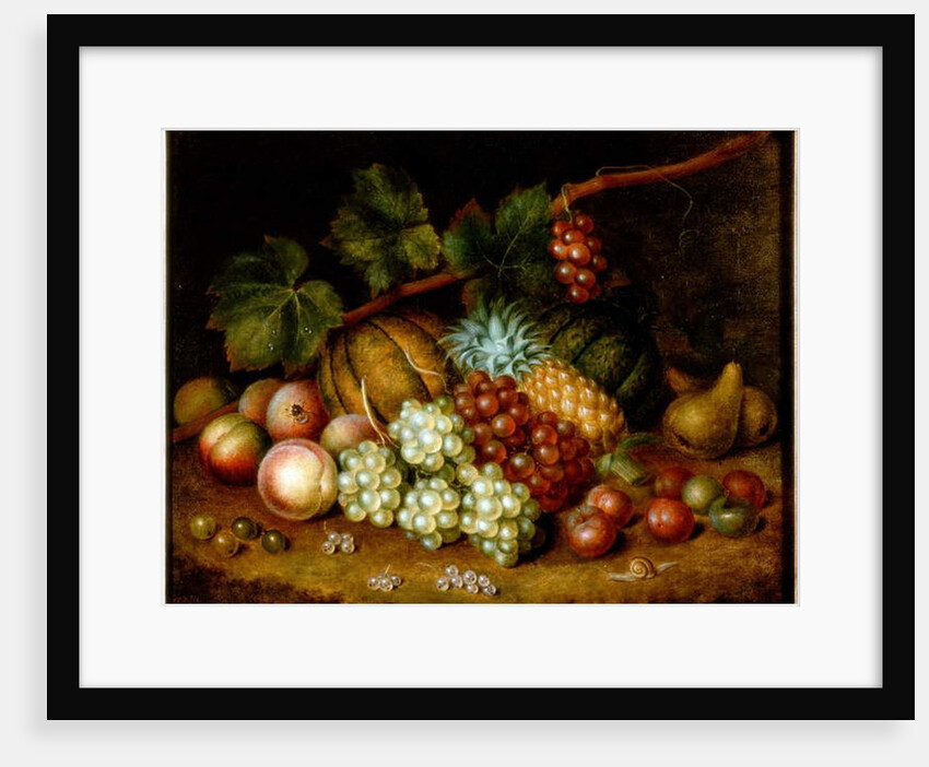Study of Fruit by George Gray