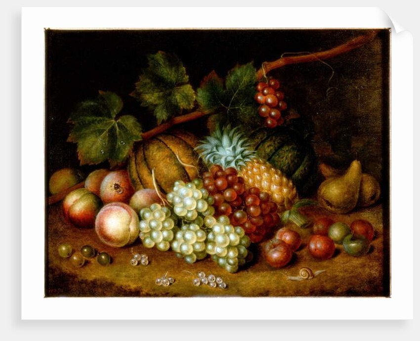 Study of Fruit by George Gray