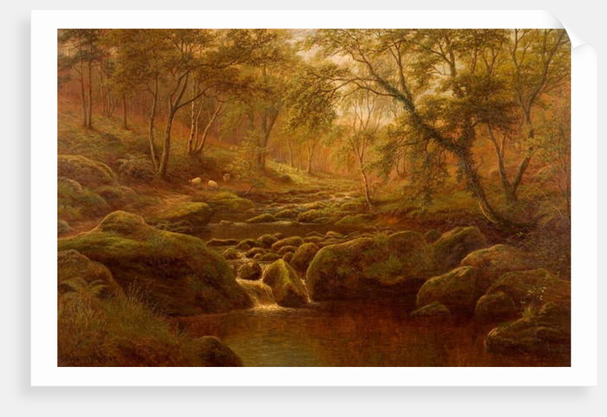 Oak Beck, Harrogate by William Mellor