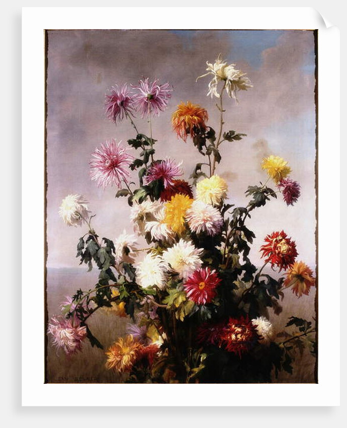 Study of Flowers by Jean Benner
