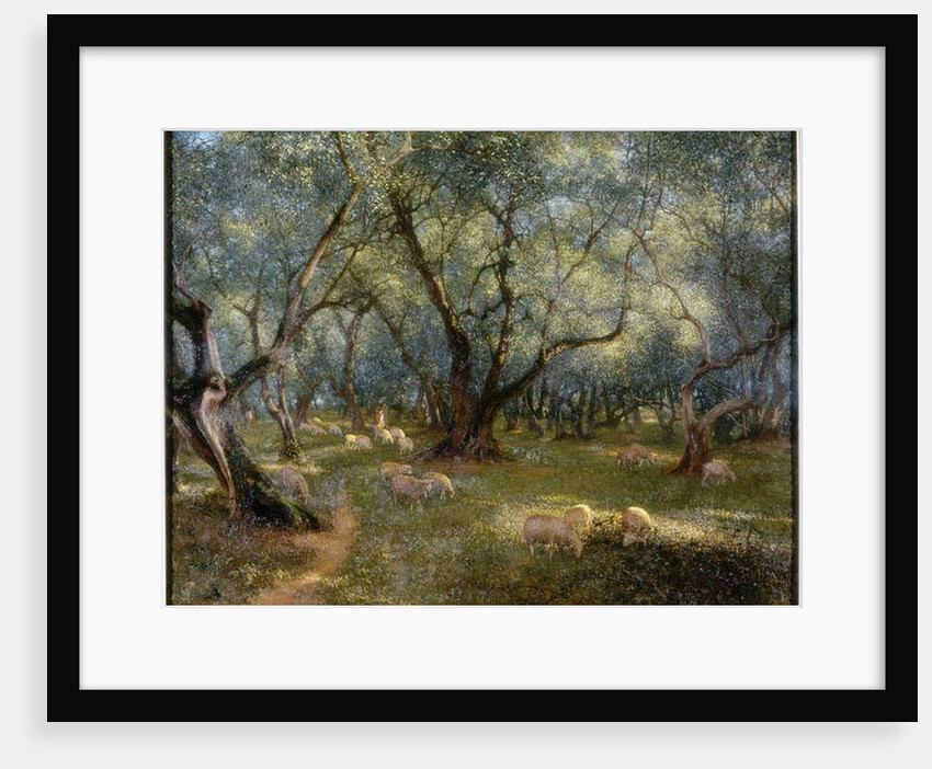 Olives of St Rocco by Thomas Bowman Garvie