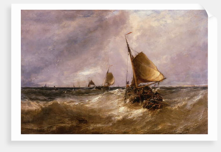 Dutch Pinks by Edwin Hayes