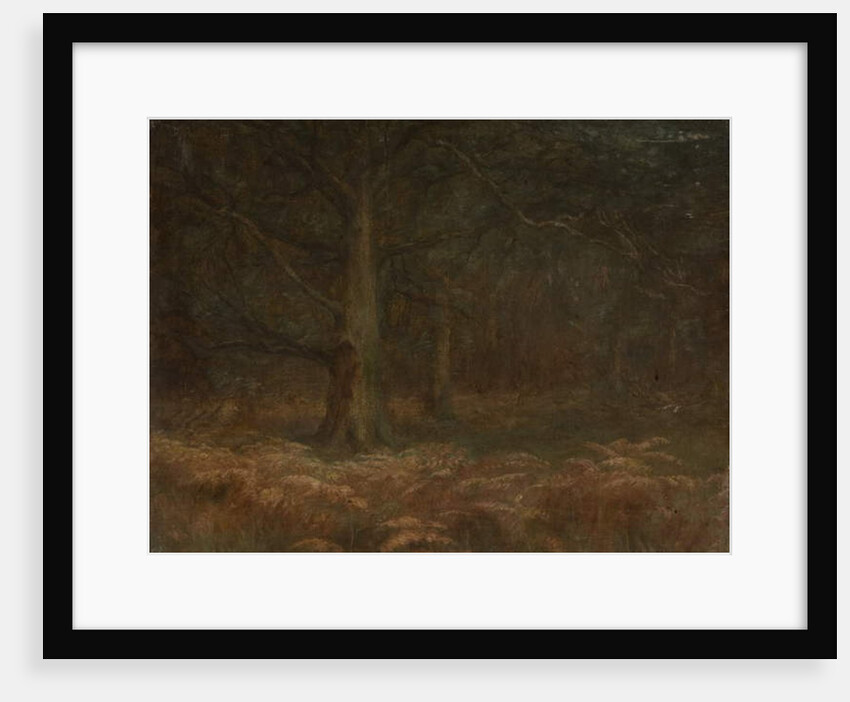 Study of Trees by School English