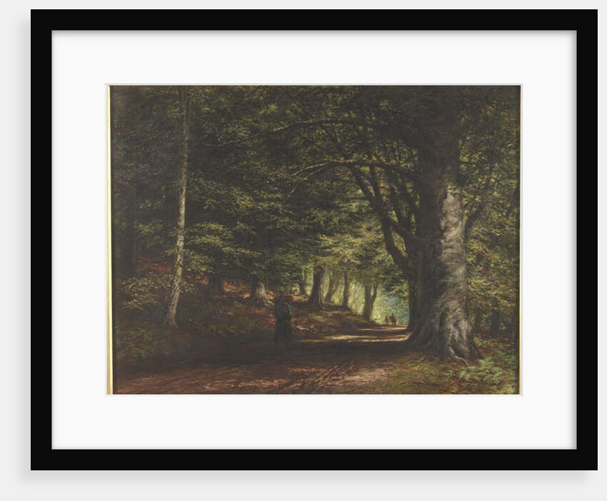 Beech Avenue, Inverary, 1876 by Edward Railton Catterns