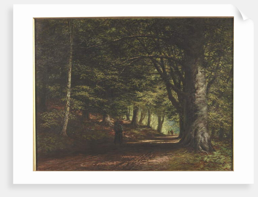 Beech Avenue, Inverary, 1876 by Edward Railton Catterns