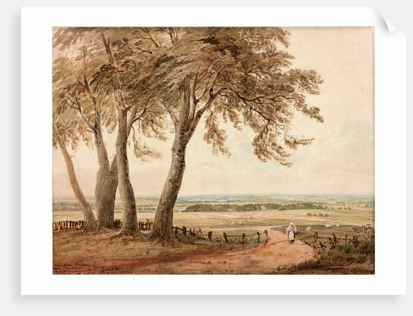 View from Polsden near Bookham in Surrey, 1800 by John Varley