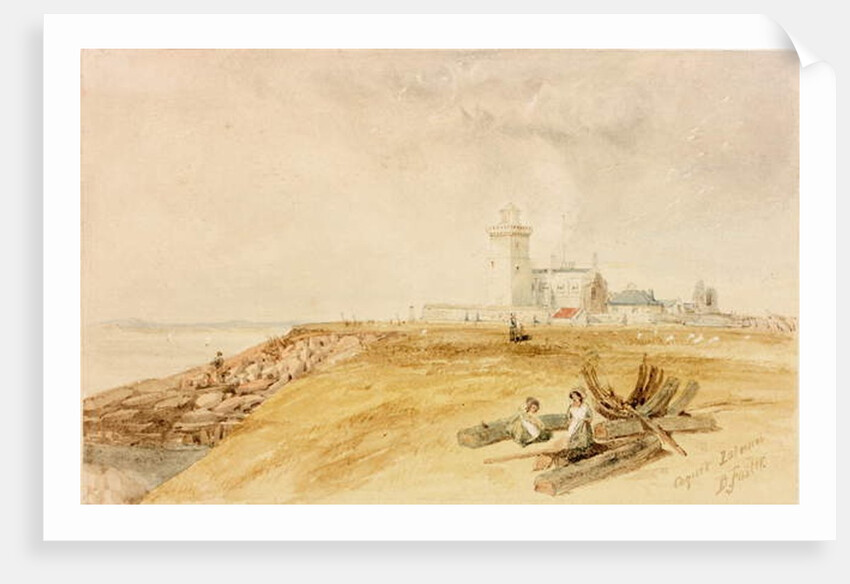 Coquet Island by Myles Birket Foster