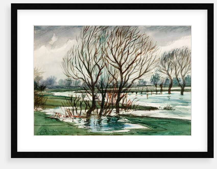 Willows by Christopher Richard Wynne Nevinson