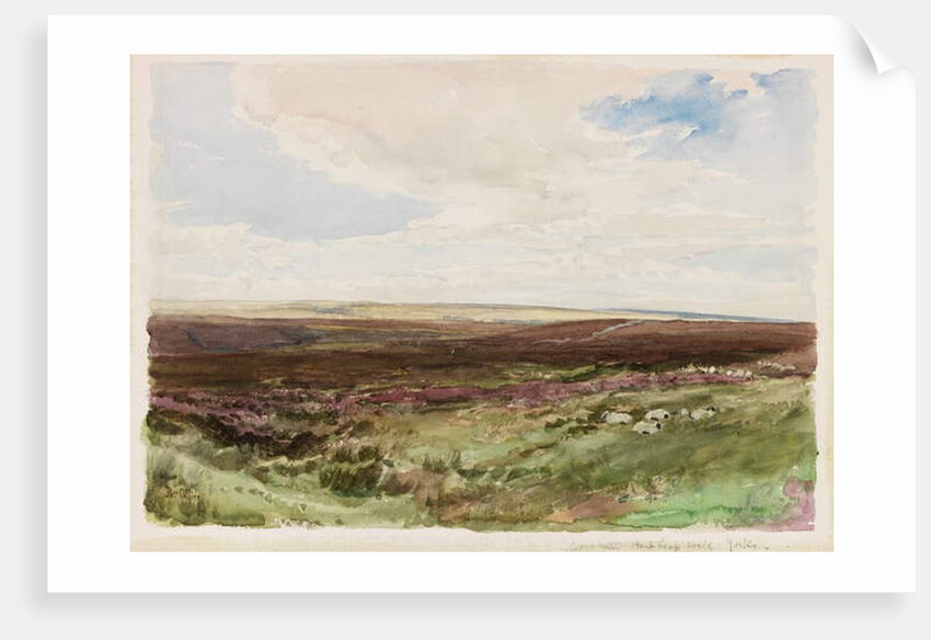 Moorland near Hart Leap Well, Yorkshire by Thomas Collier