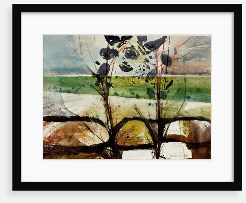 Sea Plants by Charles William Bartlett