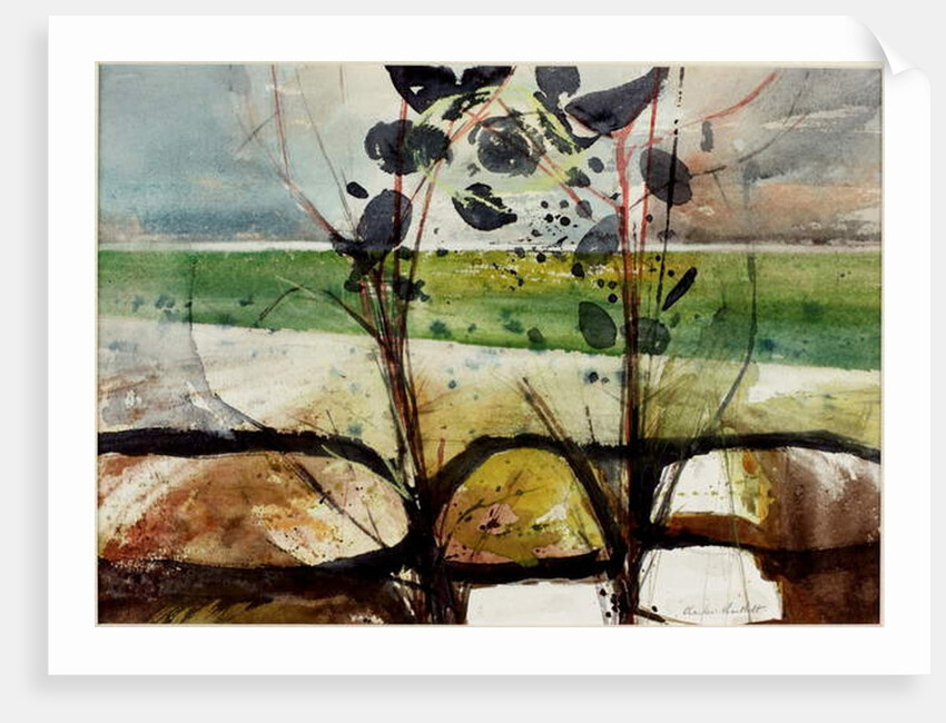 Sea Plants by Charles William Bartlett