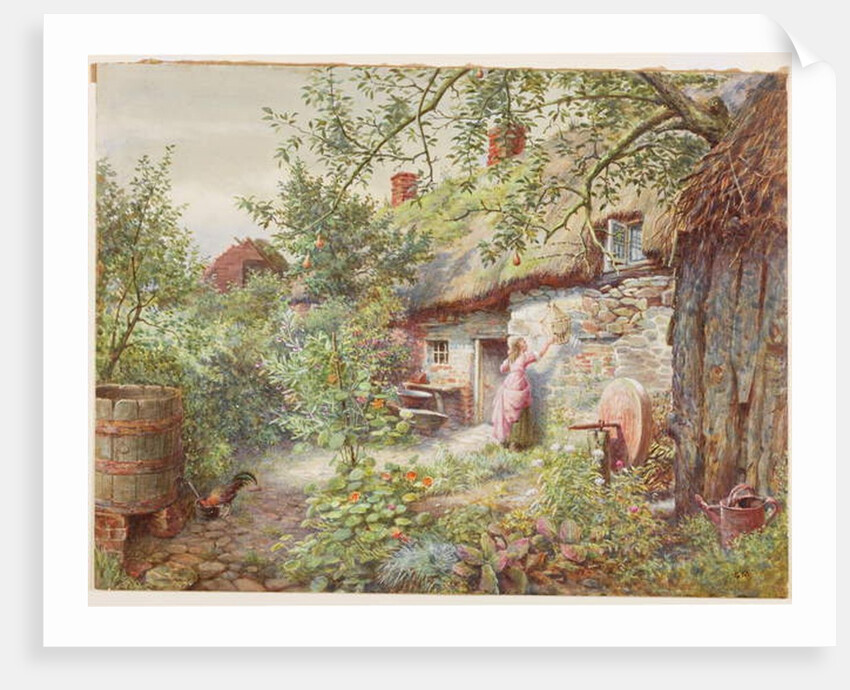 Old Cottage by English School