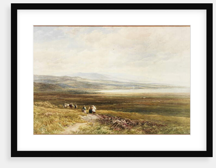 A Scotch Moor by Edmund Morison Wimperis