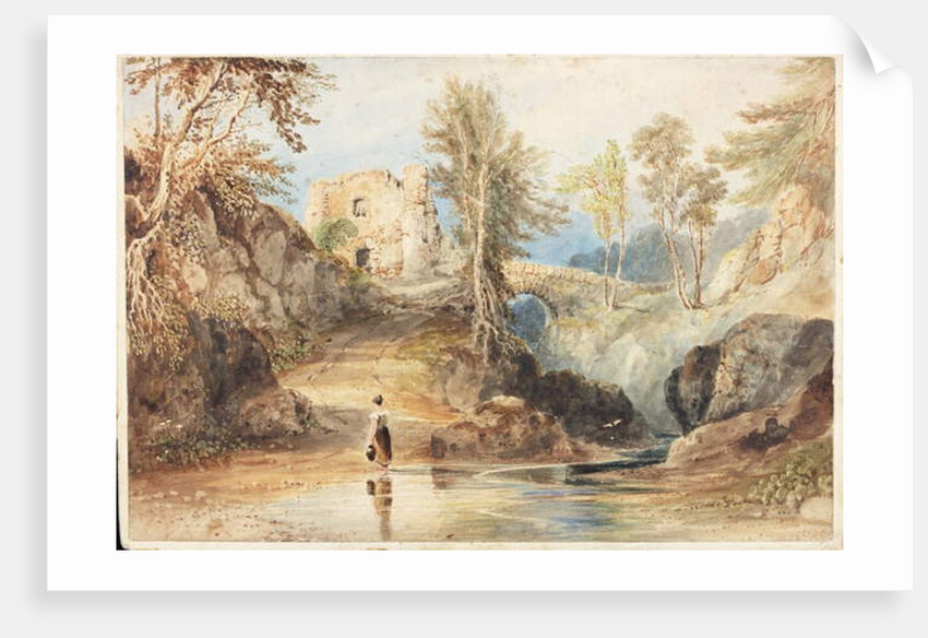 Saltwell Dene, Saltwell Park by Thomas Miles Richardson