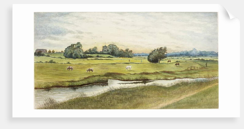 Ryton Meadows by James Henry Cleet