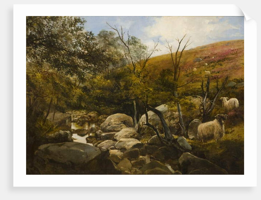 On the Black Burn, near Rothbury by Robinson Elliott