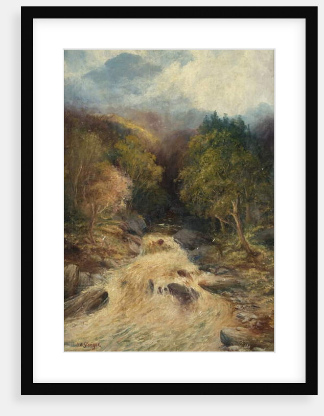 A Mountain Forest by J.H. Stanger