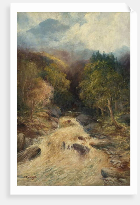 A Mountain Forest by J.H. Stanger