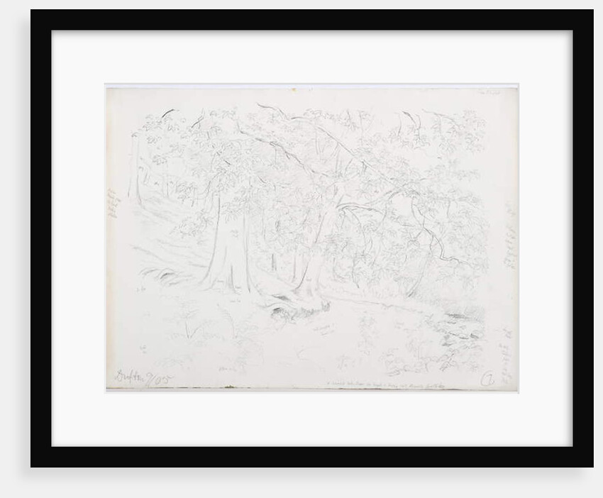 c.1916 by Daniel Oliver