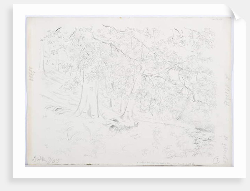 c.1916 by Daniel Oliver