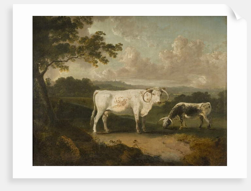 Kenwood, Lord Mansfield's Pedigree Cattle, 1797 by Julius Caesar Ibbetson