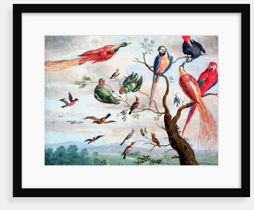 The Chorus of Birds, c.1650-1675 by Jan Thomasz. van Kessel