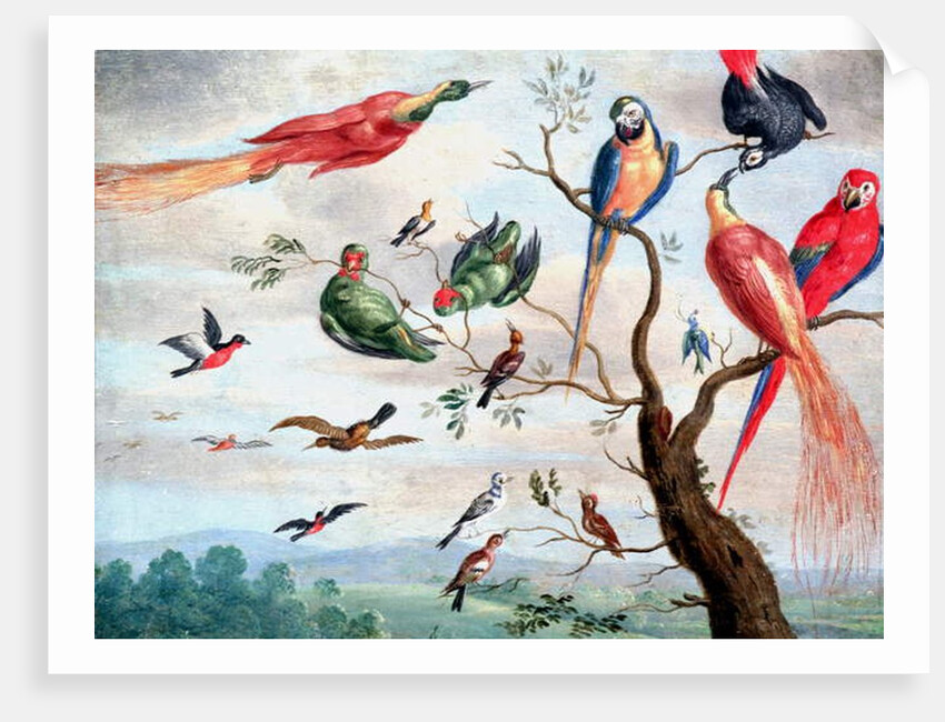 The Chorus of Birds, c.1650-1675 by Jan Thomasz. van Kessel