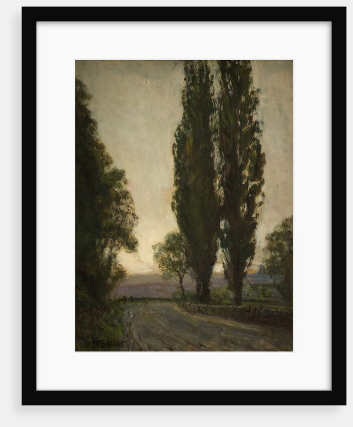 Lombardy Poplars by John Falconar Slater