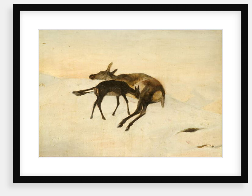 A Random Shot by Edwin (after) Landseer