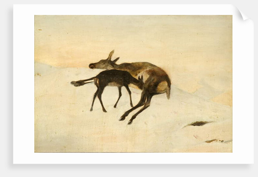 A Random Shot by Edwin (after) Landseer